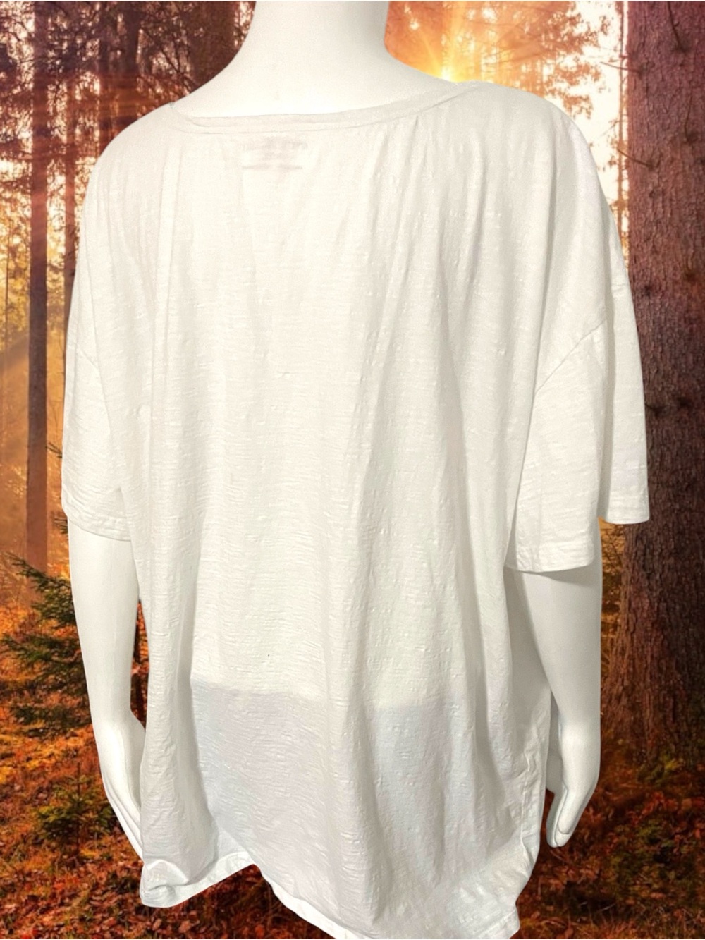 April Cornell Owl in the Woods Graphic Scoop Neck Tee Cream Cottagecore XL/XXL - Picture 4 of 12